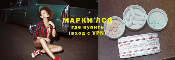 спайс Дмитриев