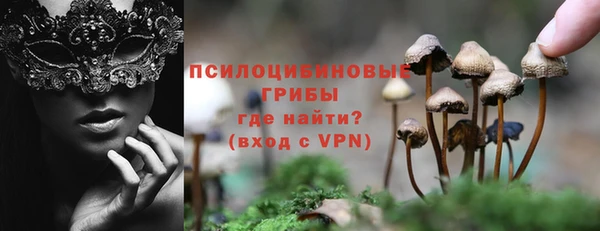 спайс Дмитриев