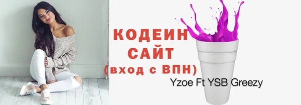 мет Елизово