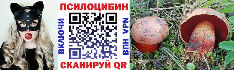 Псилоцибиновые грибы Cubensis  Купить где  Борисоглебск 